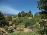 rrente Quarantore-20110911 109
